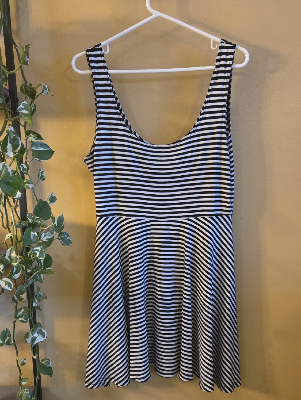 Striped Black and White Scoop Neck Skater Dress